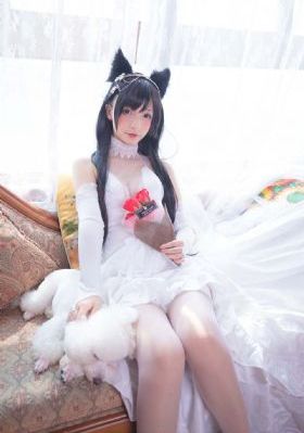 家庭教师寅子_BD高清视频观看
